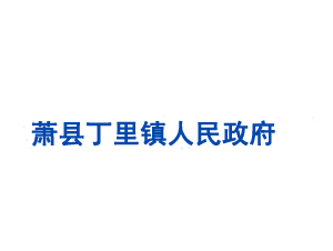 蕭縣丁里鎮人民政府